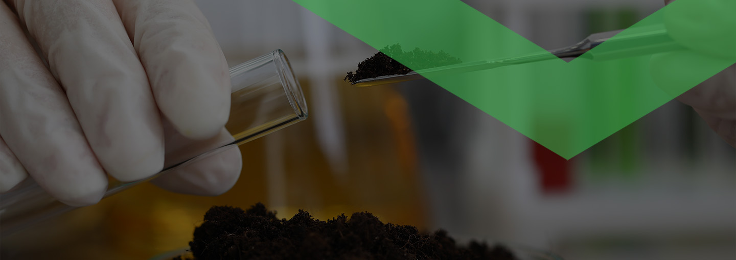 Wieso ist es wichtig, die Baufinanzierung online zu vergleichen?